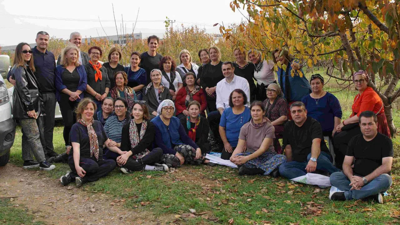 Güç Yılın İlk Zeytin Hasadına Katıldı
