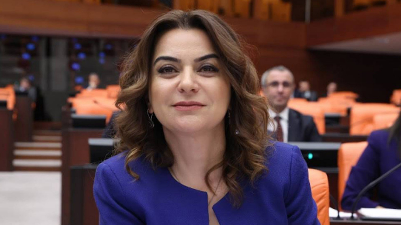Komisyon kararıyla İmralı'ya giden DEM Partili Koçyiğit’ten ilk açıklama