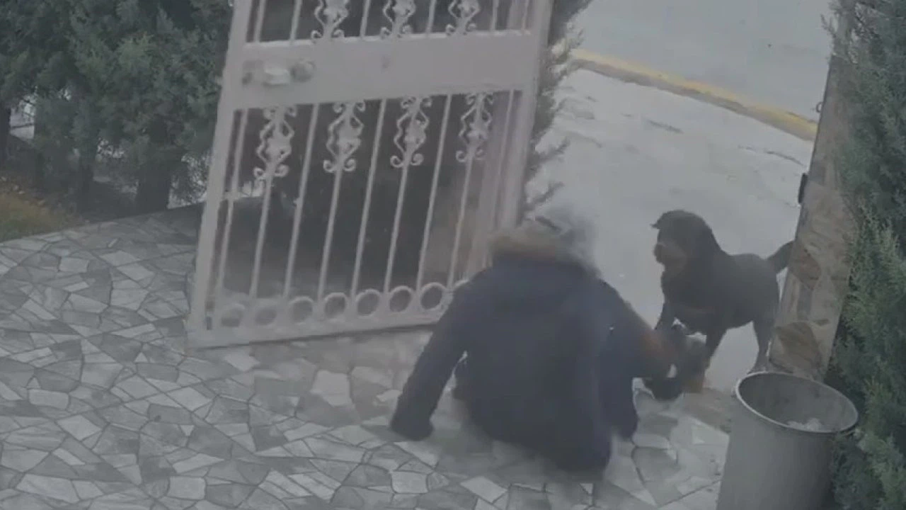 Ankara’da sahipsiz köpeklerin saldırısına uğrayan kadın komşusunun müdahalesiyle kurtuldu