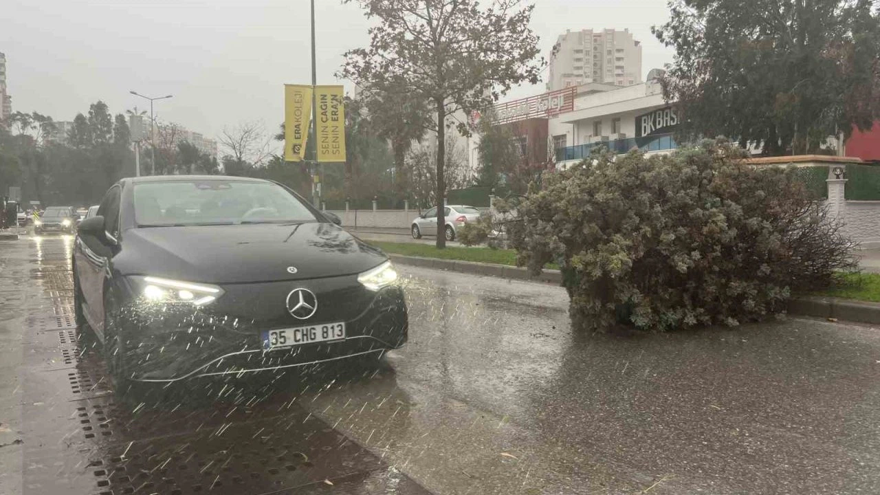 İzmir’de fırtına ağaçları devirdi: 5 araç hasar gördü