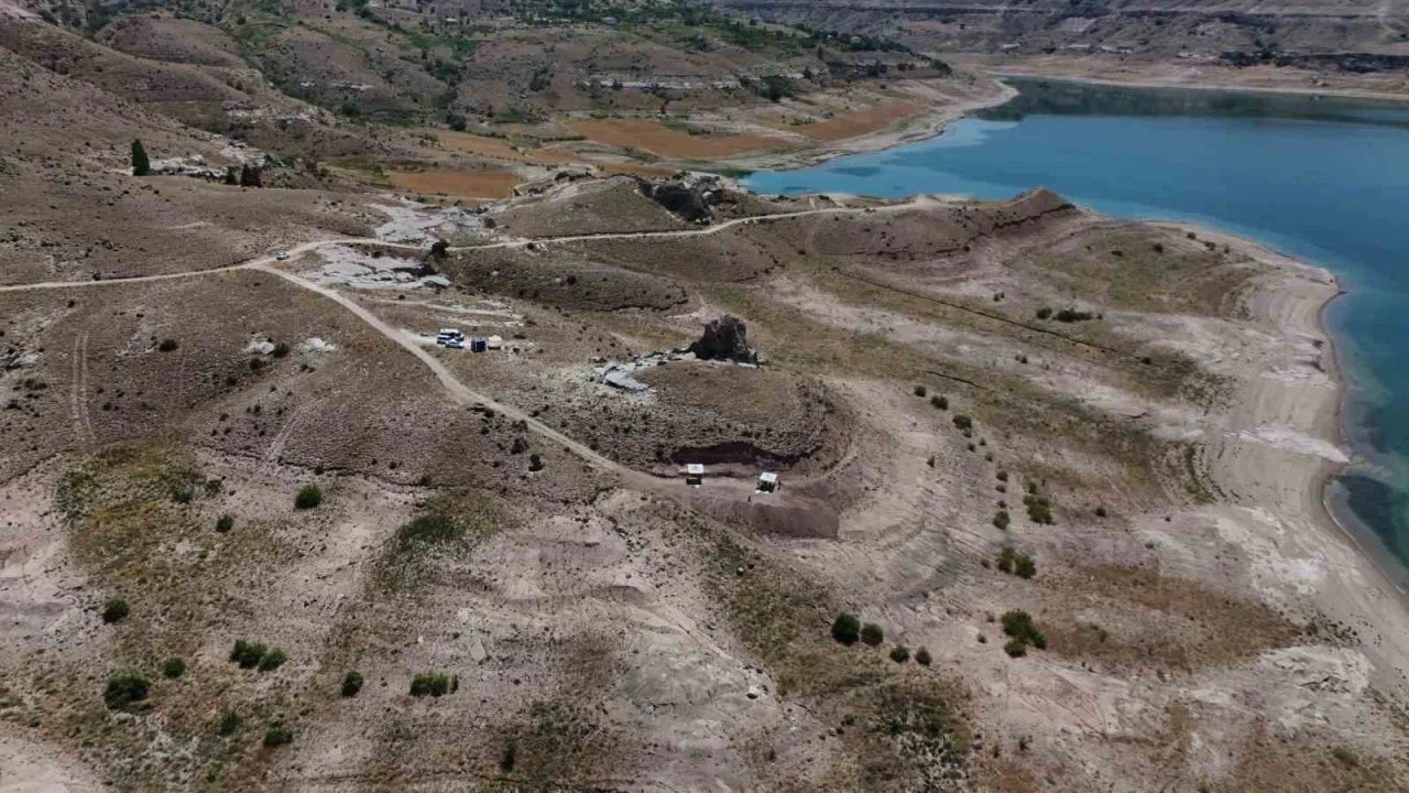 7,7 milyon yıllık tarihe ışık tutan Taşhan’da daha sonraki dönemlerde yaşayan türlerin fosilleri bulundu