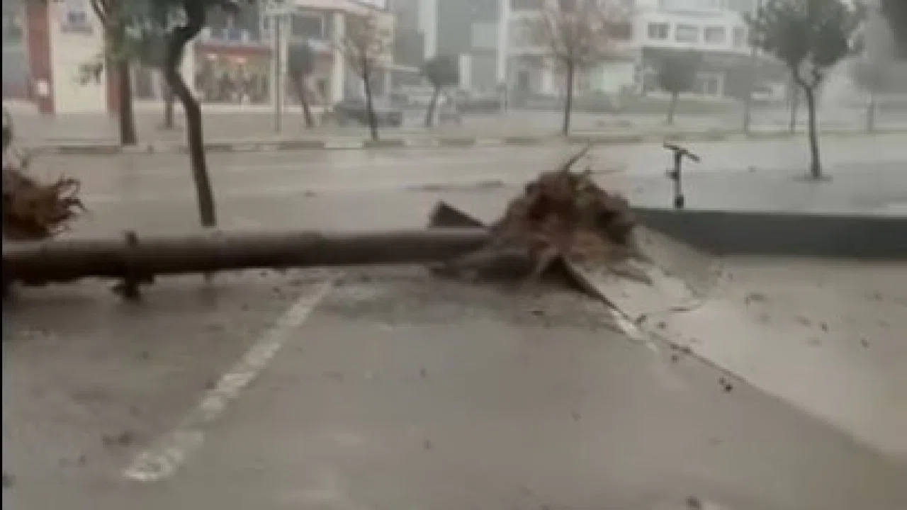 Adana’da fırtına ağaçları yerinden söktü
