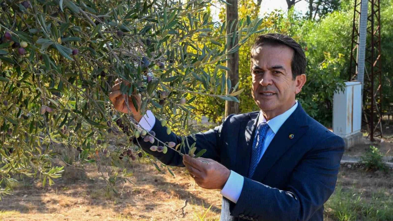 Antalya zeytinyağını markalaştıracak 30 öneri