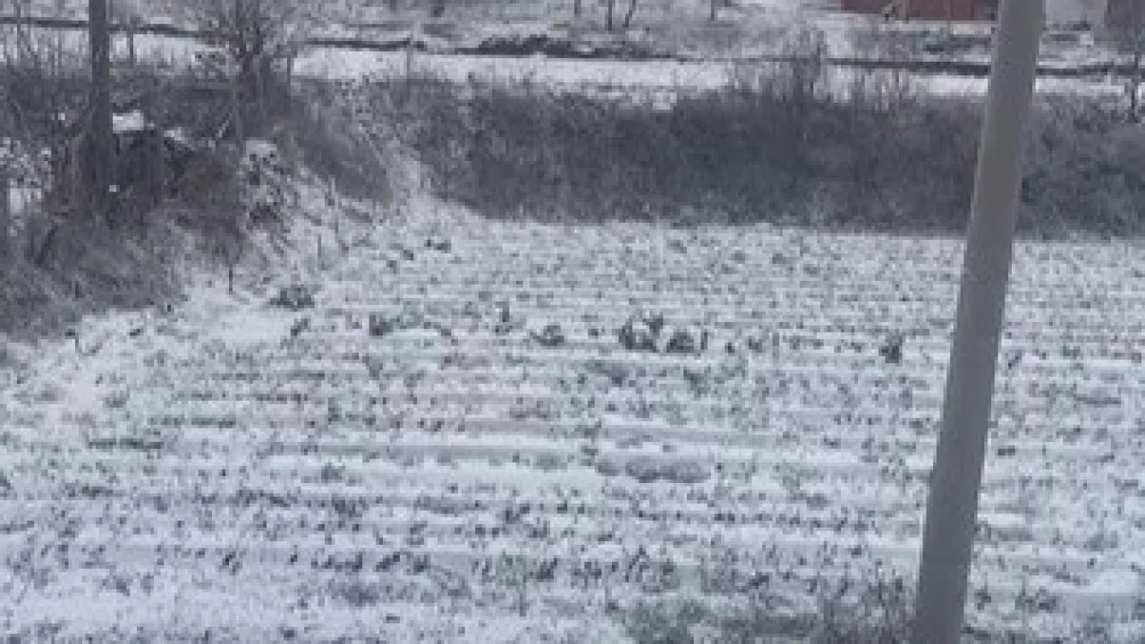 Aydın’ın yüksekleri beyaza büründü