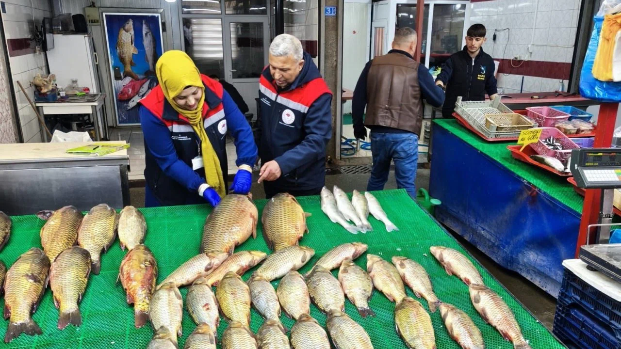 Beyşehir Gölünde avcılık falliyetleri denetim altındı