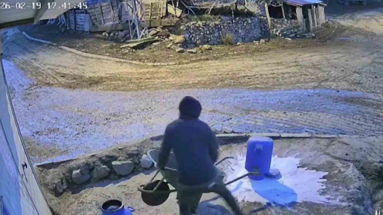 Bir bidon sütü deviren gencin çaresiz anları kamerada