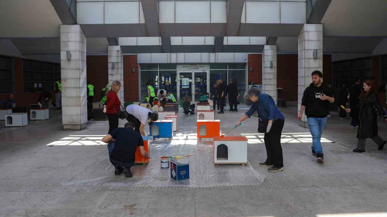 Can dostlara sıcak yuva