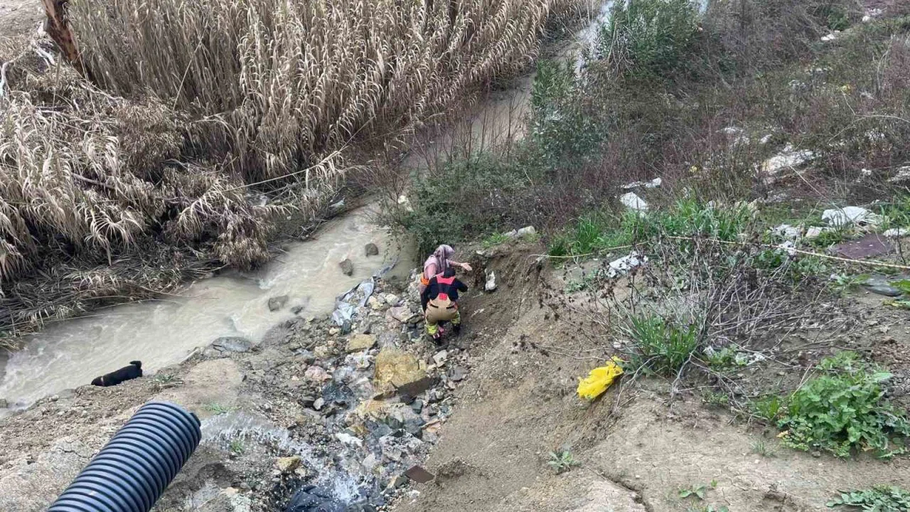 Dere yatağına düşen oğlağı kurtarmak isteyen kadın mahsur kaldı