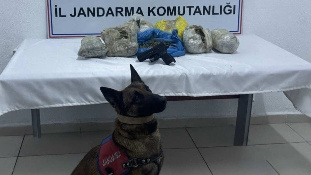 Doğubayazıt’ta 4 kilo 198 gram kubar esrar ele geçirildi