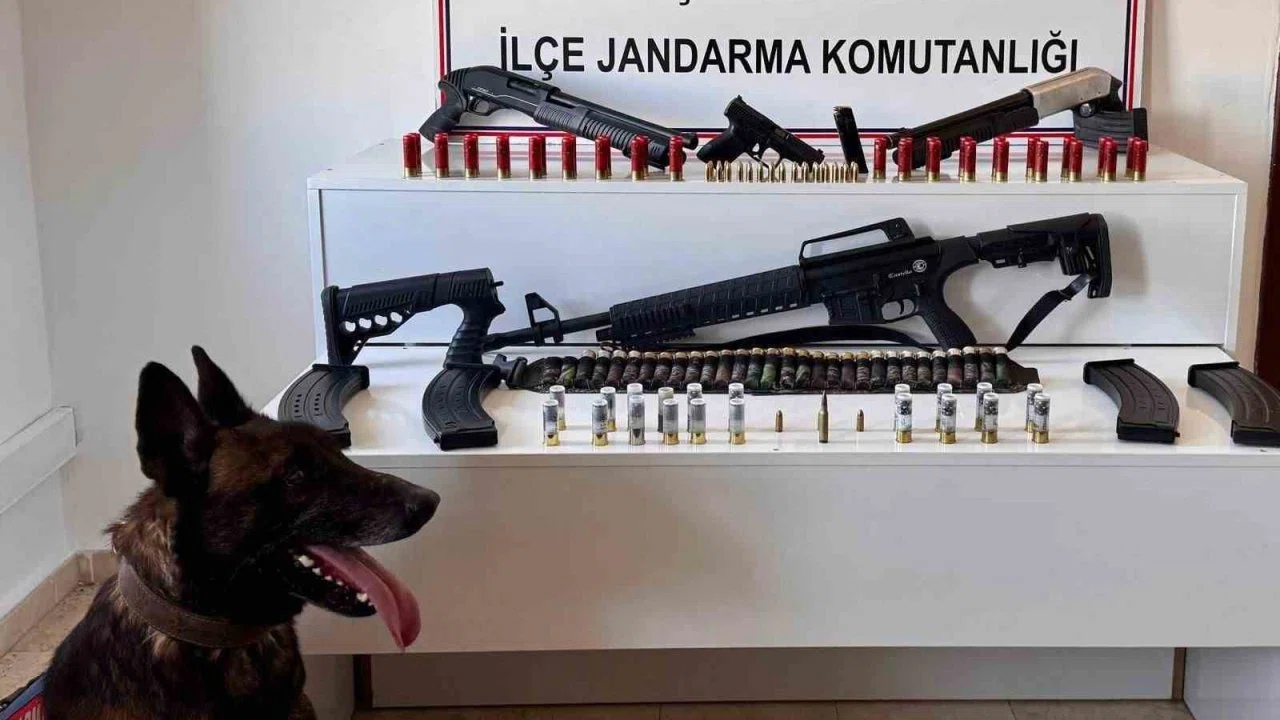 Erciş’te ruhsatsız silah ele geçirildi