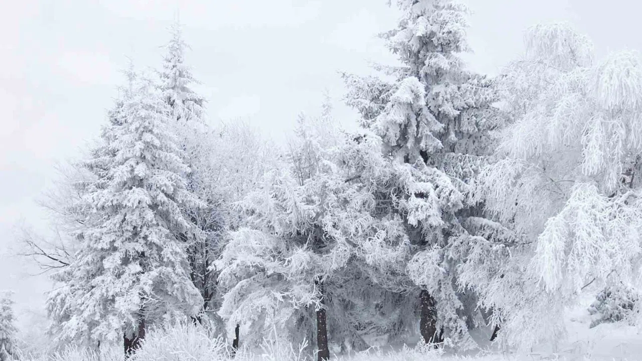 Erzincan için kuvvetli kar yağışı uyarısı