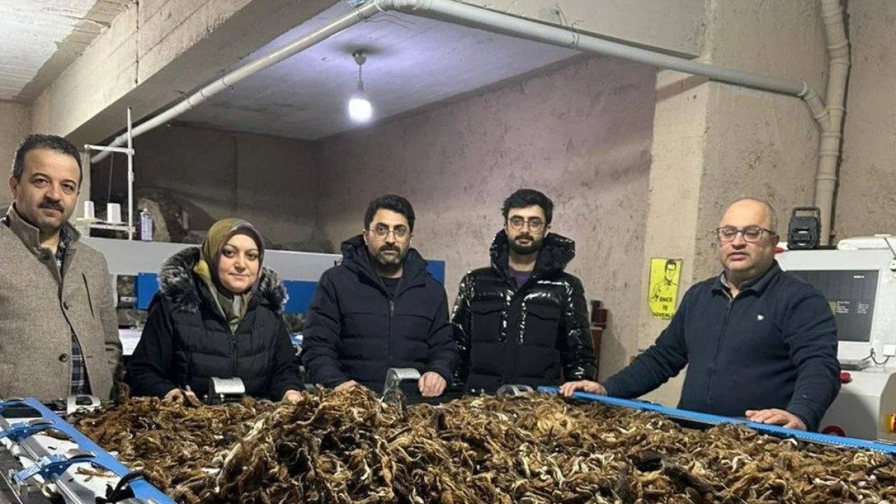 Erzurum’da atık yünler yeşil dönüşümle değer kazanıyor