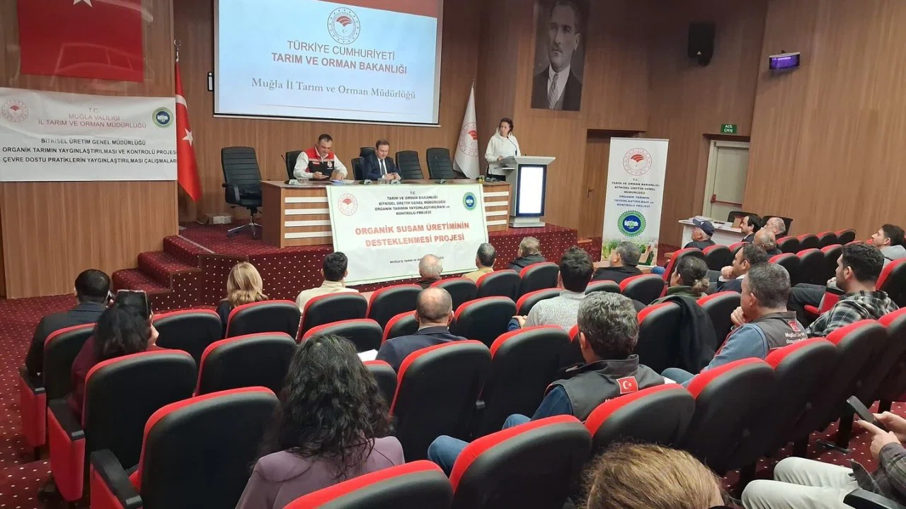 Gökova susamı için organik üretim masaya yatırıldı