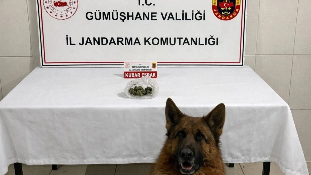 Gümüşhane’de uyuşturucu operasyonu