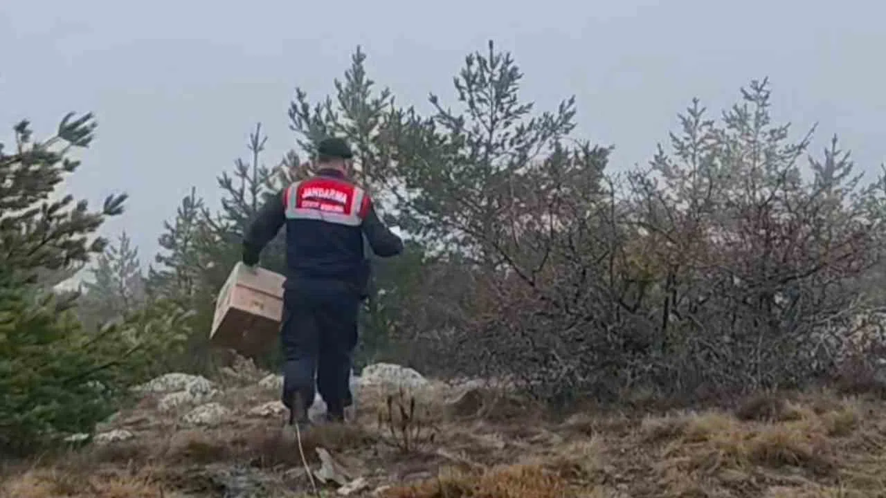 HAYDİ ekipleri doğadaki canlıları unutmadı