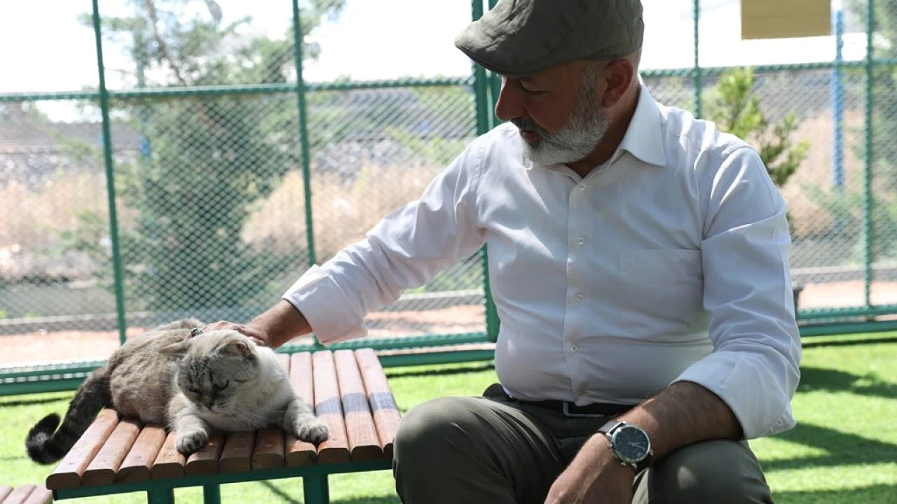 Kayseri’de ilk ve tek küçük dostları Kedi Kasabası, ziyaretçi rekoru kırıyor