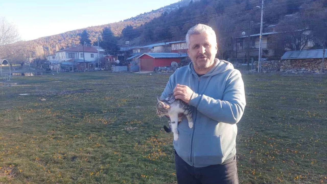 Konya’da aç kalan kediler için 30 kilometre yol gitti
