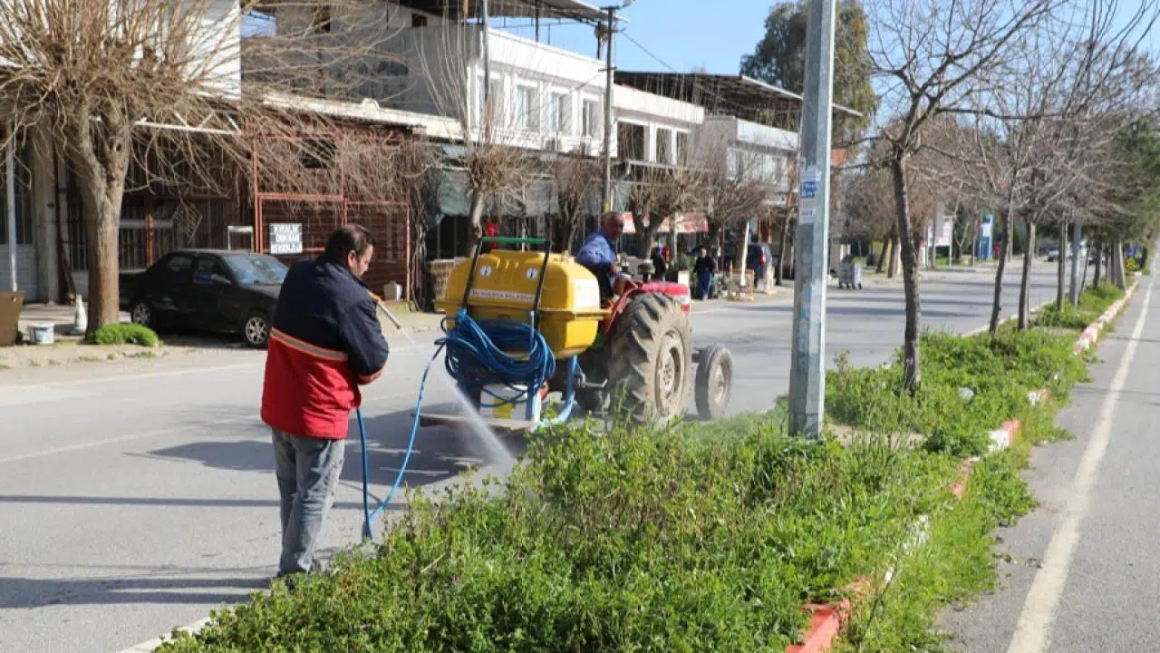 Menderes’te Ot İlaçlamaları Başladı