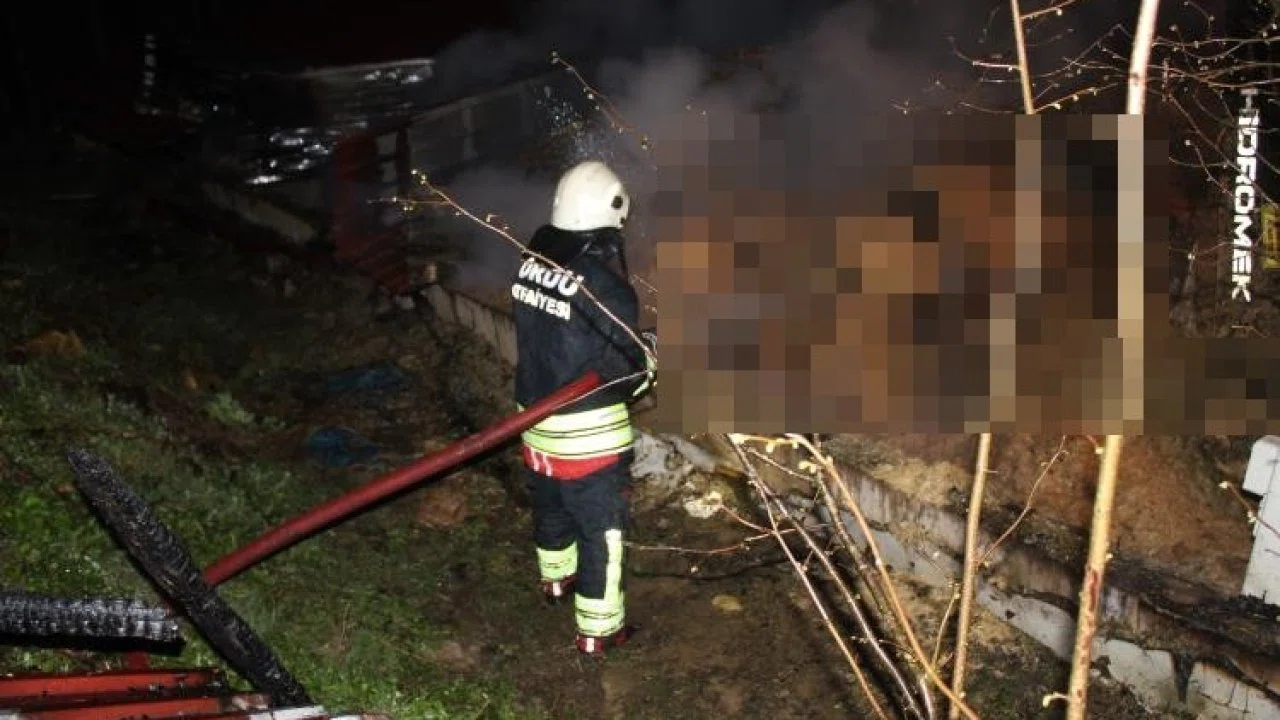 Ordu’da ahır yangını: 27 büyükbaş hayvan telef oldu