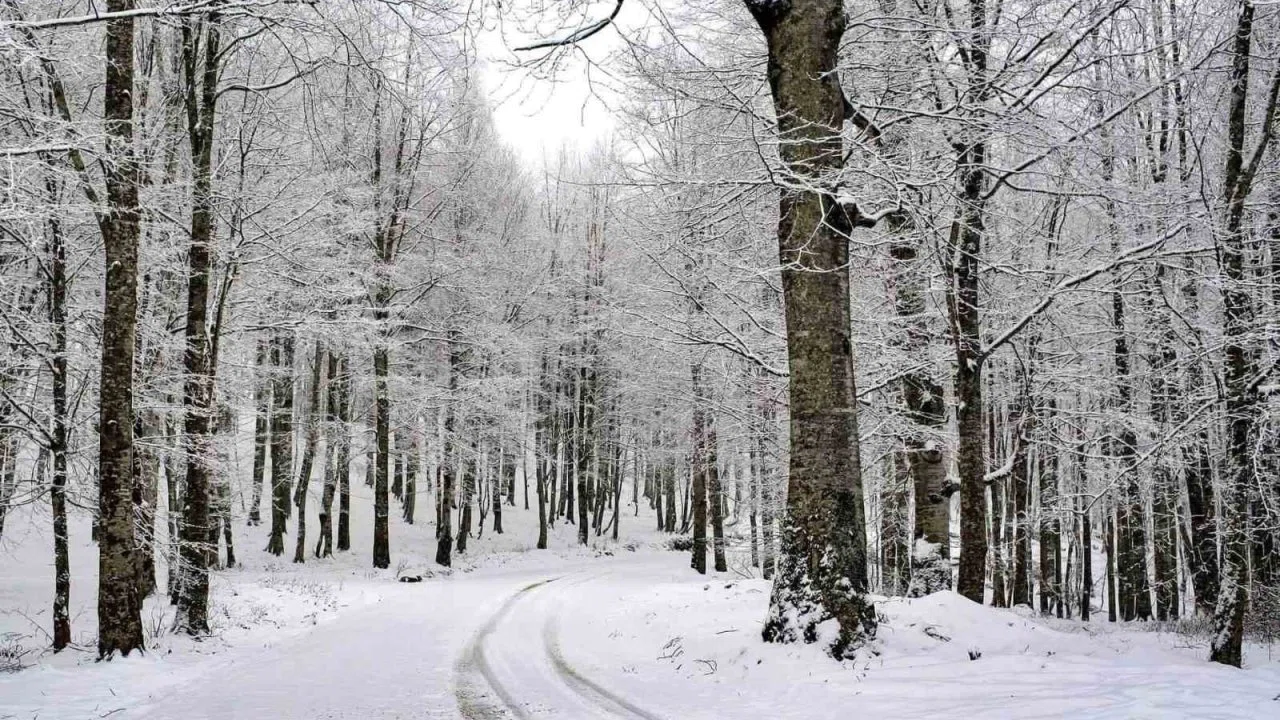 Ordu’nun 15 ilçesinde eğitime kar engeli