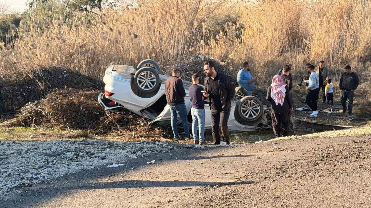 Pamuk sapları sürücünün hayatını kurtardı