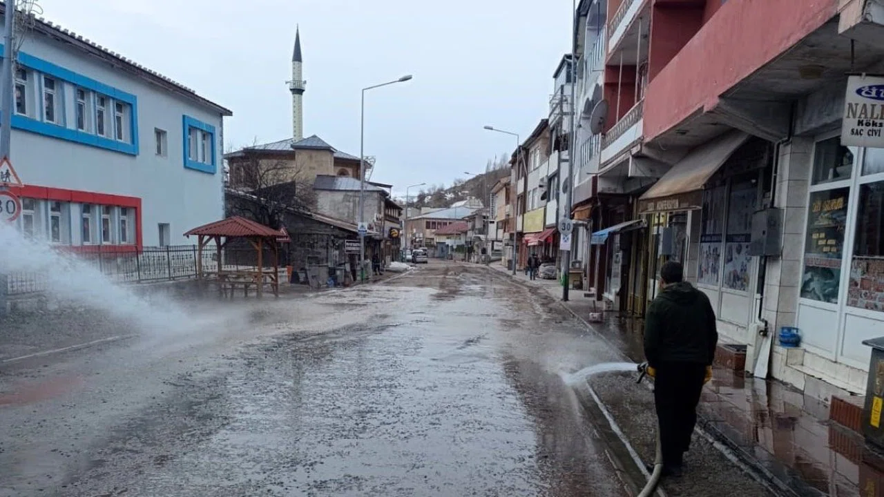 Posof’ta bahar temizliği