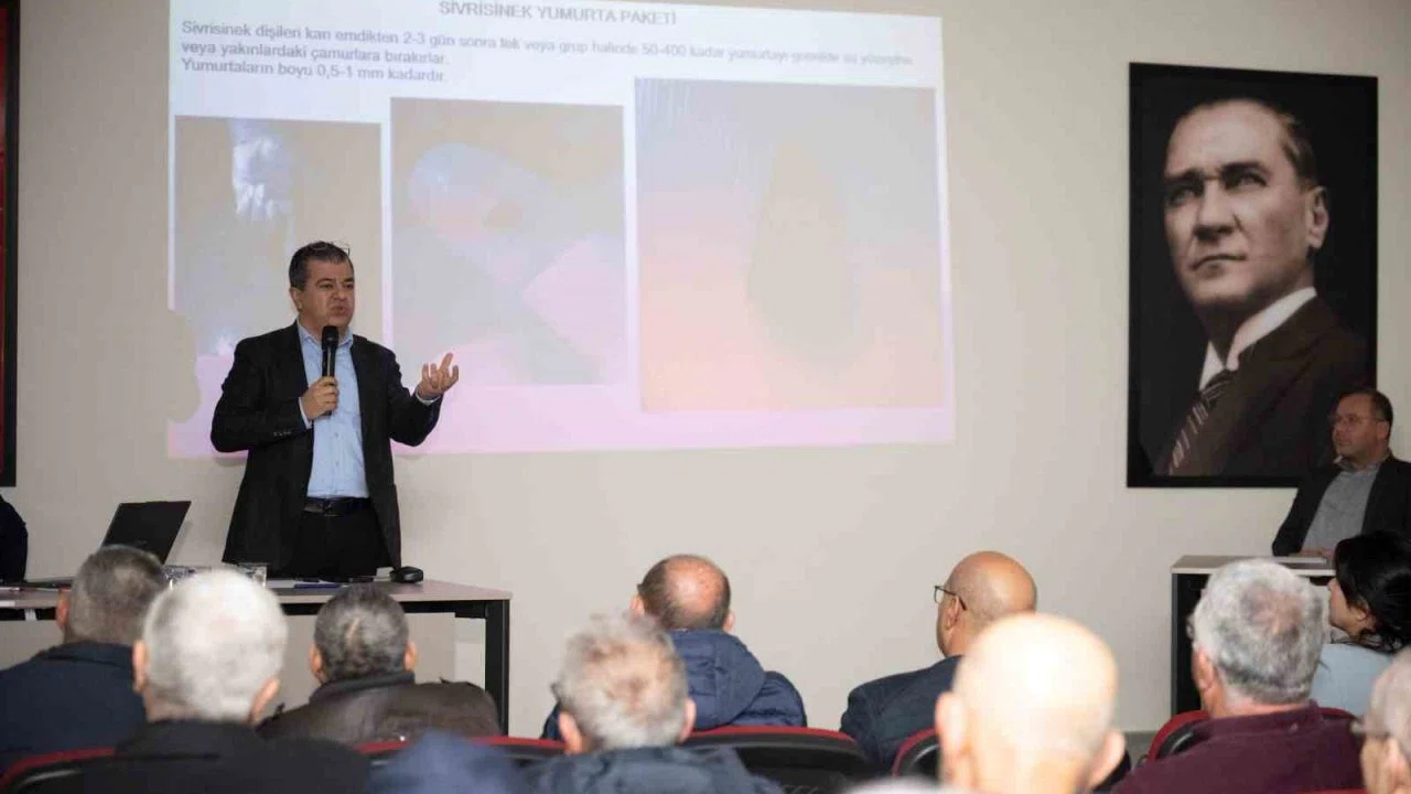 Silifke’de haşereyle mücadele için iş birliği çağrısı