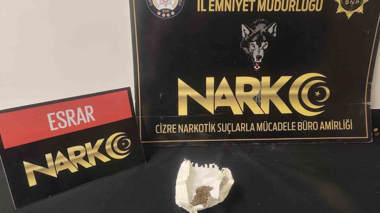 Şırnak’ta 17,8 milyonluk kaçak ürün ele geçirildi: 10 tutuklama