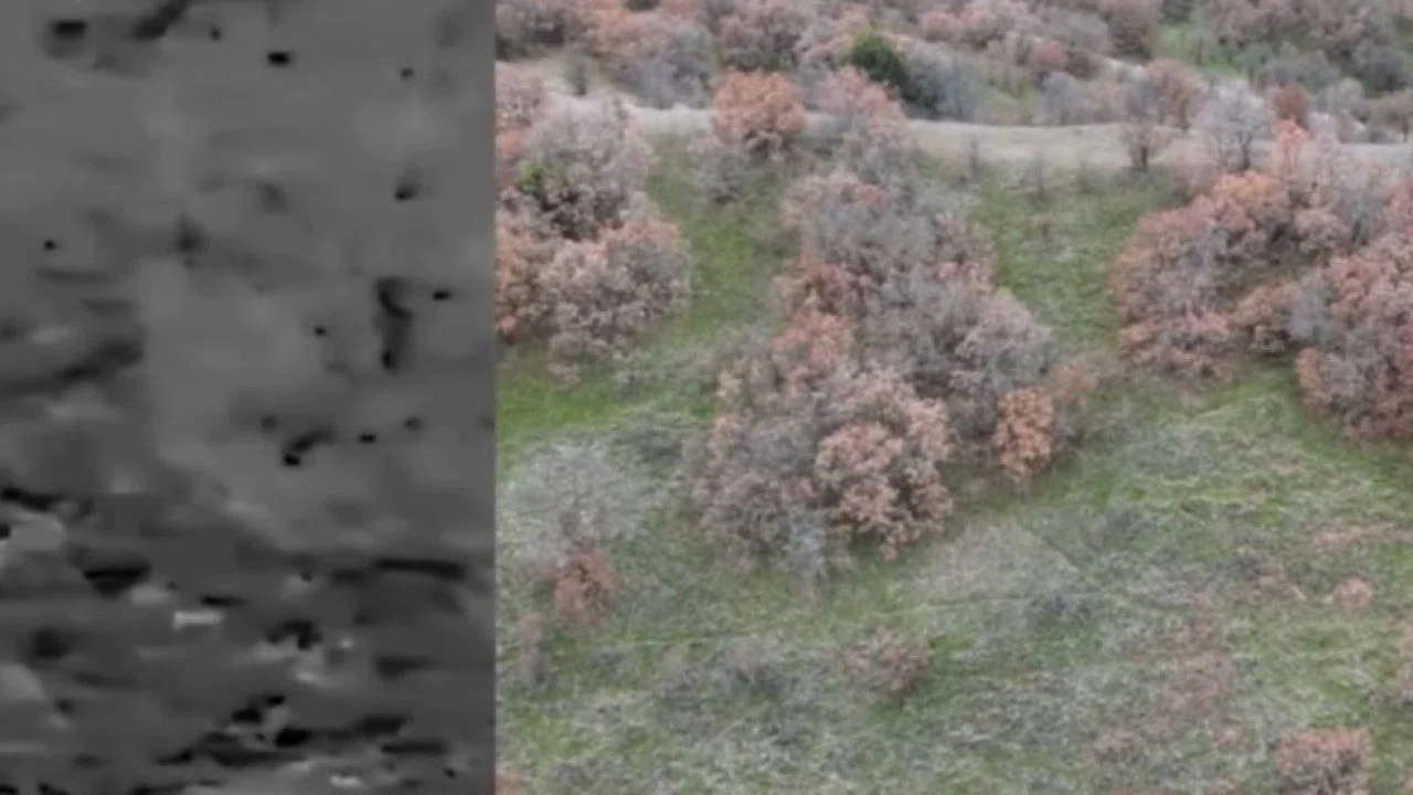 Termal drone destekli denetimde 2 kaçak avcı yakalandı