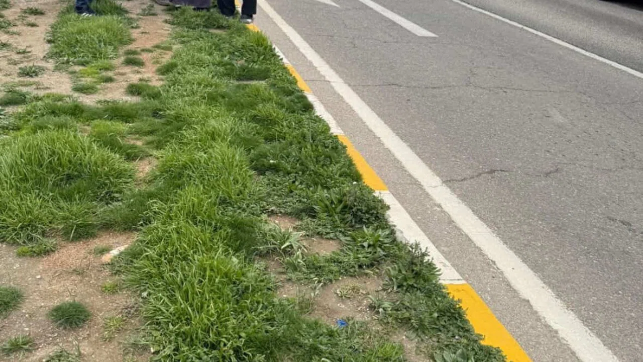 Tırın çarptığı 75 yaşındaki adam öldü
