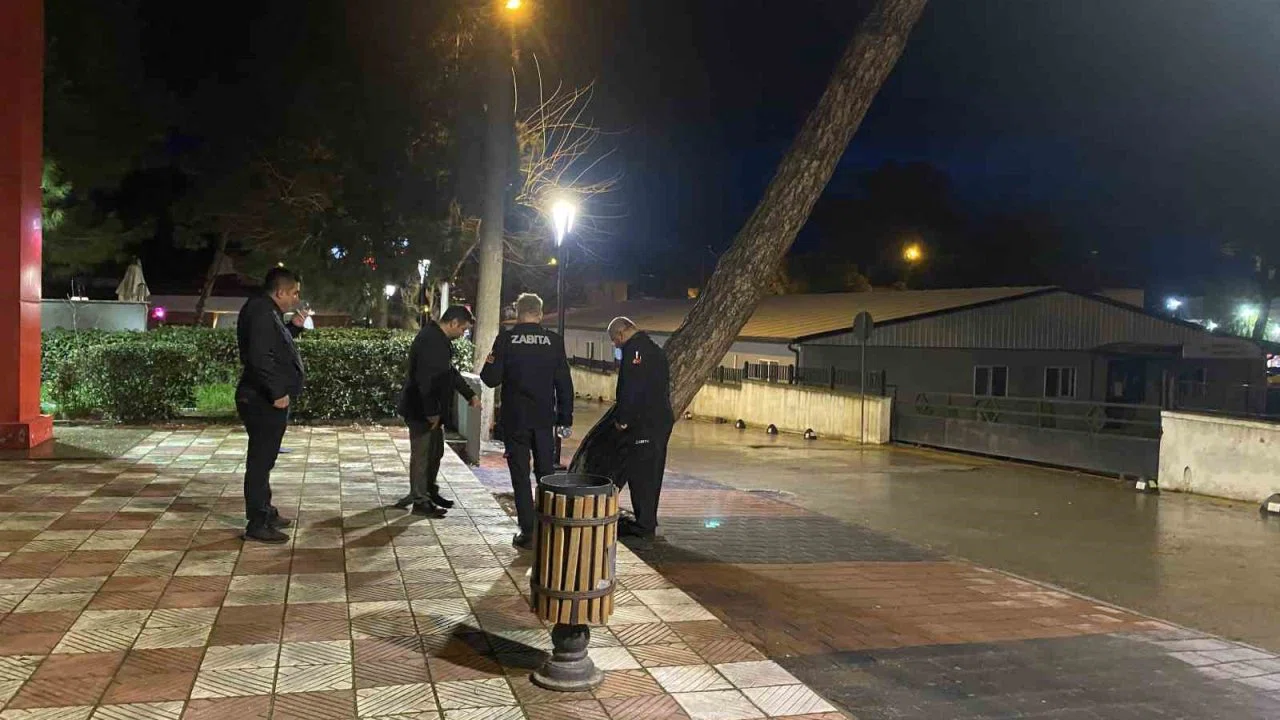 Yarım asırlık çam ağacı fırtınaya dayanamadı