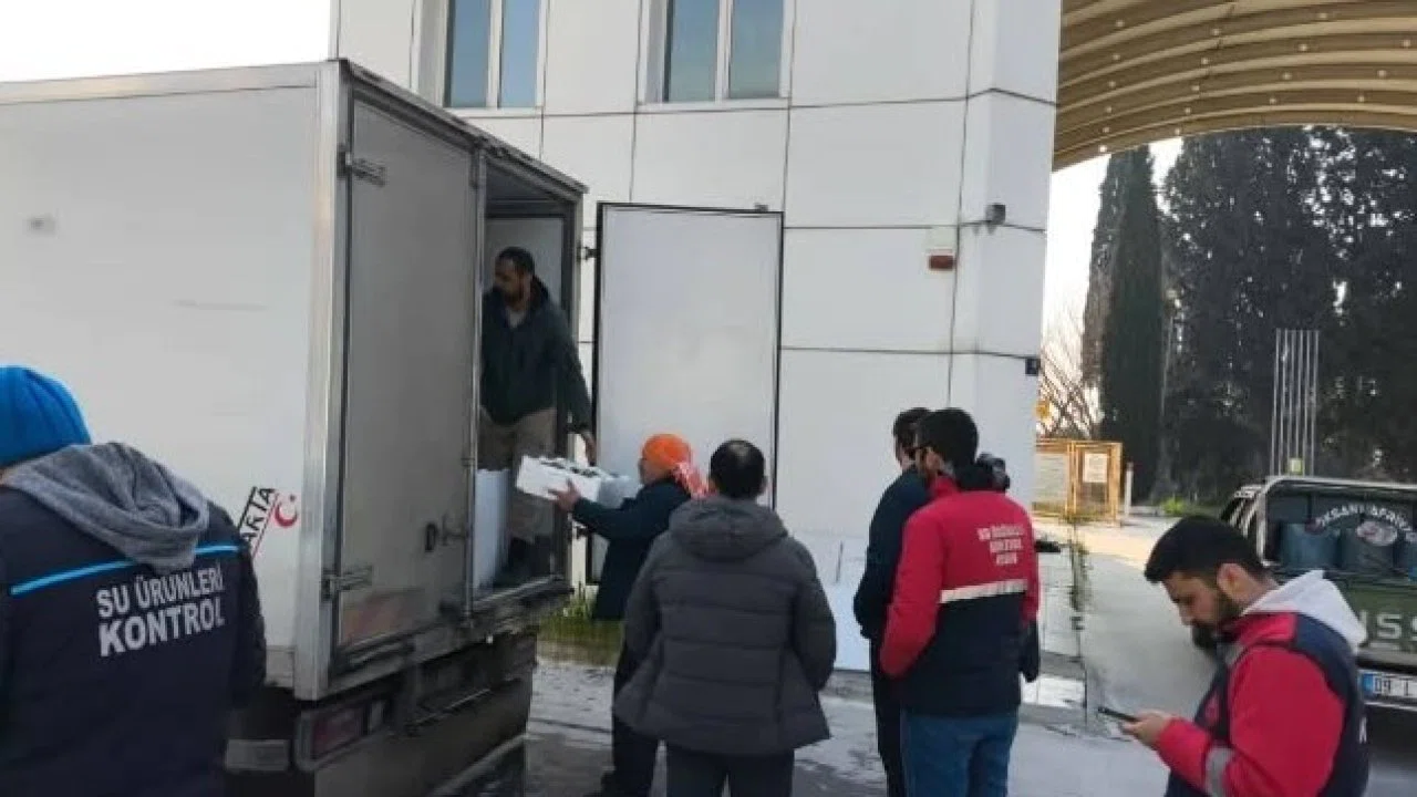 Aydın’da nakil belgesiz 290 kasa balığa el konuldu