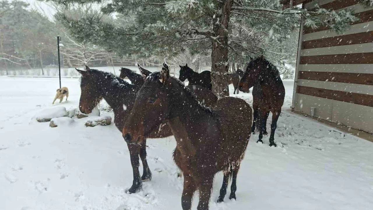Bayramda Spil’e kar sürprizi