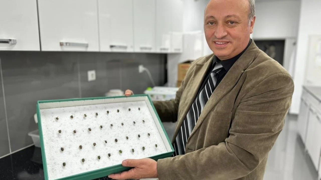 Böcekler cinayetleri aydınlatıyor: Ölüm zamanı ve olay yeri entomolojiyle belirlenebiliyor