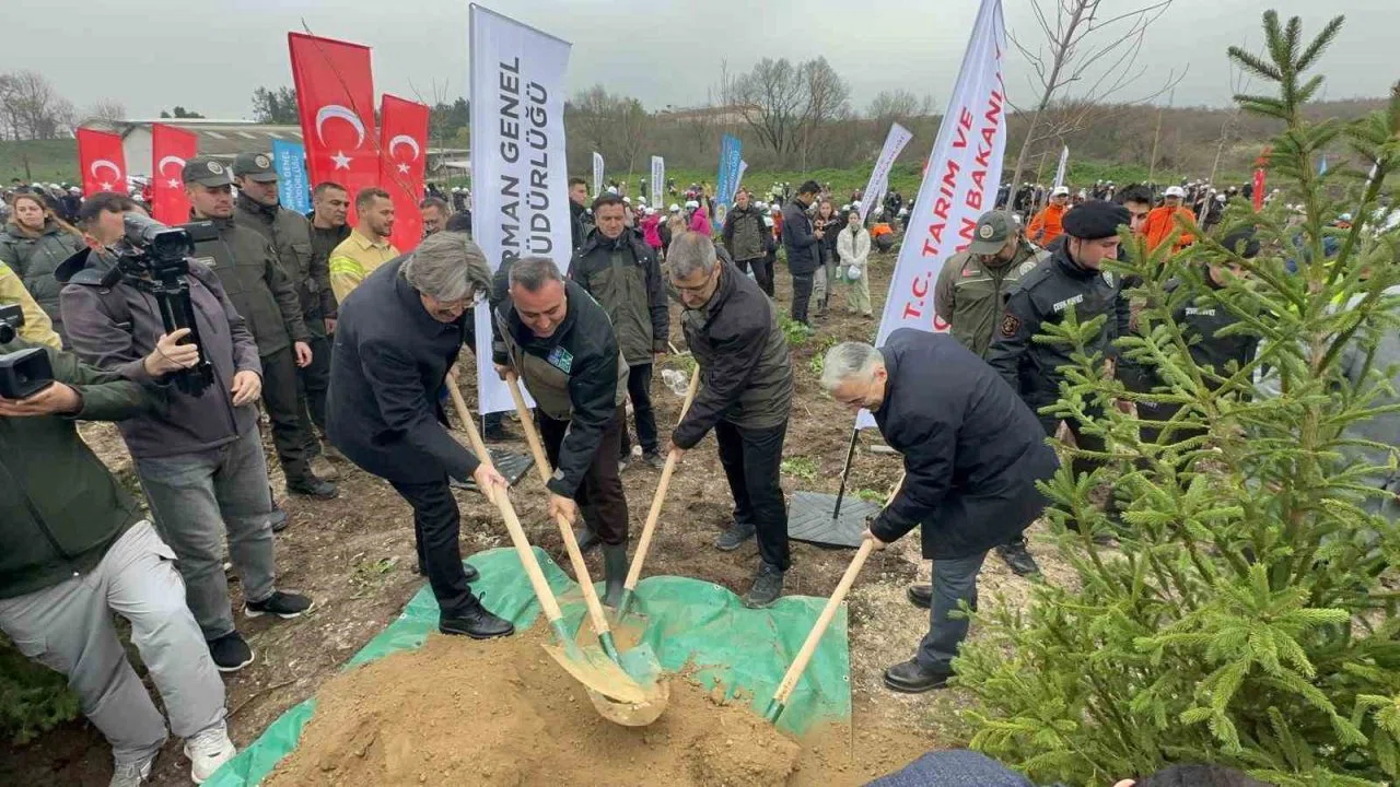 Bursa’da 2 yıl önce yanan 80 hektarlık alan ağaçlandırıldı