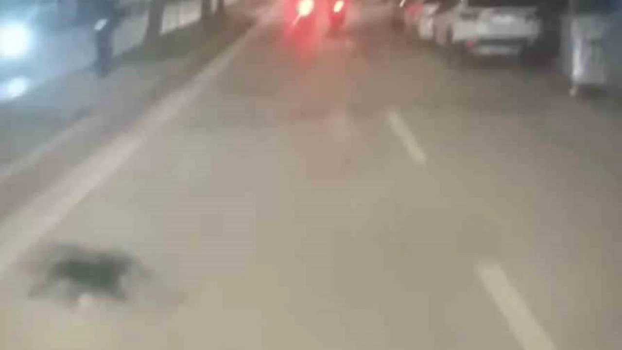 Bursa’da ’dur’ ihtarına uymayan motosikletli yakalandı: 200 bin TL ceza