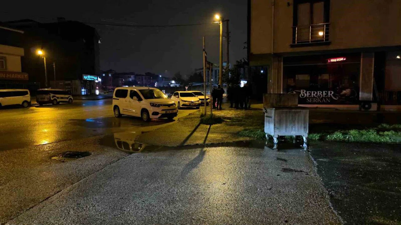 Cengiz Efe hayata döndürüldü