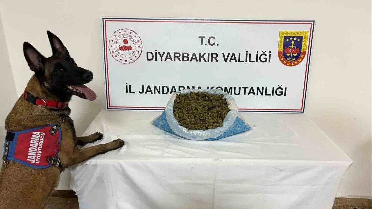 Diyarbakır’da uyuşturucu operasyonu: 14 gözaltı