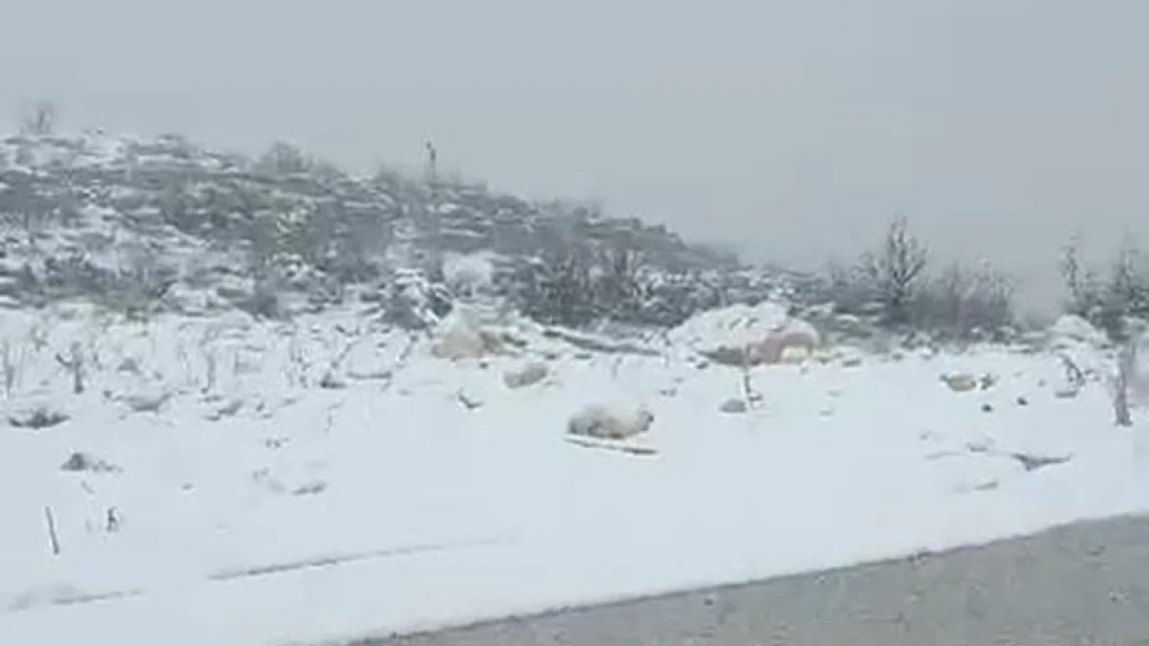 Diyarbakır’ın iki ilçesinde kar yağışı
