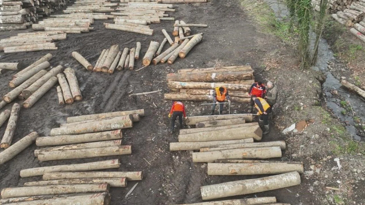 Düzce’den bin 909 ton orman ürünü ihraç edildi