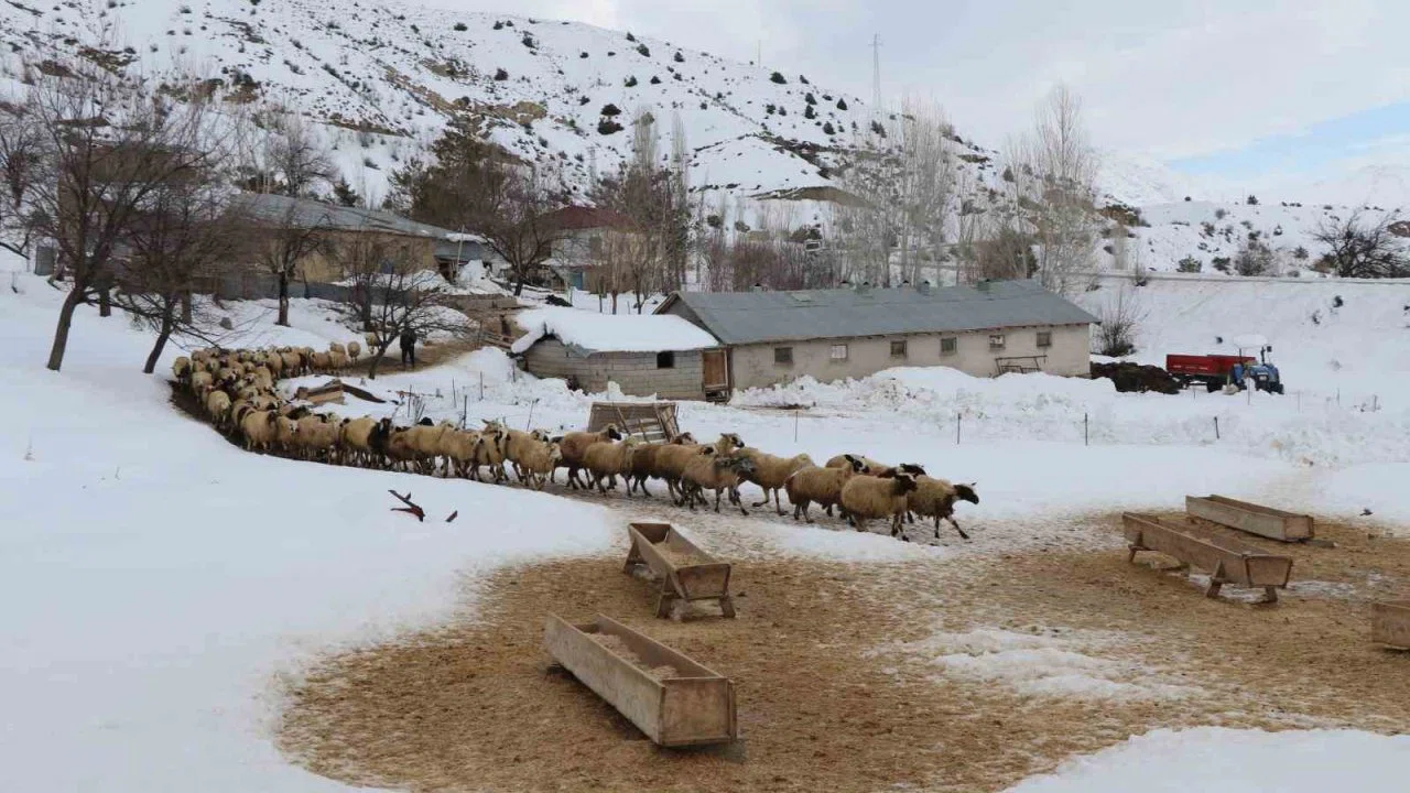 Erzincan’da çiftçilere kar ve tipi uyarısı