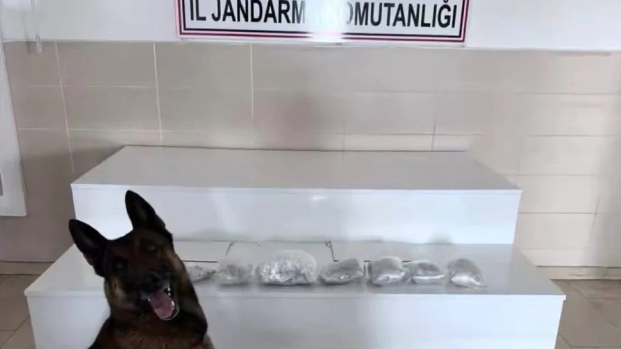 İçişleri Bakanlığı: "Van ve Hakkari’de 320 kilogram uyuşturucu madde ele geçirildi"