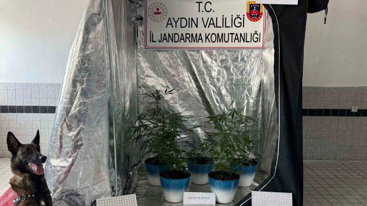 Jandarma narkotik affetmedi