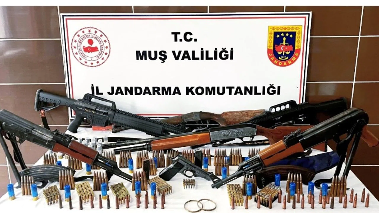 Muş’ta jandarmadan silah ve tarihi eser operasyonu