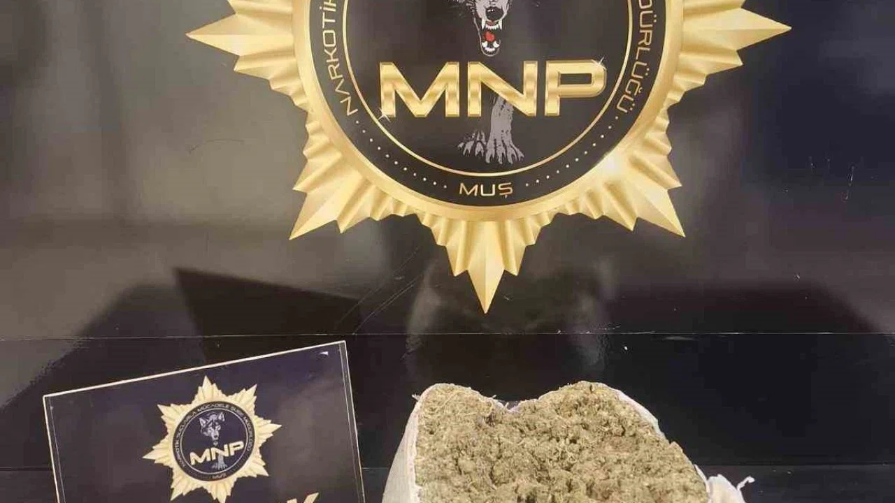 Muş’ta yolcu otobüsünde 2 kilo 72 gram skunk ele geçirildi