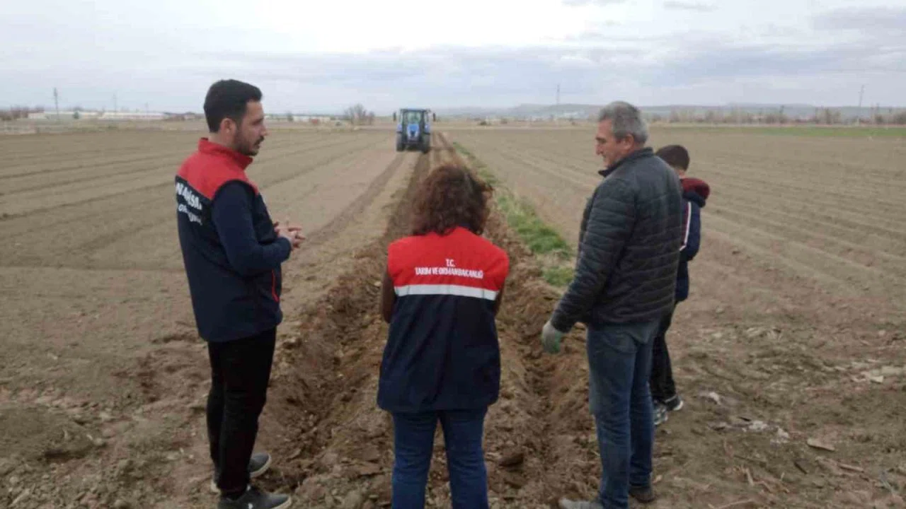 Patates ekimi sezonu başladı