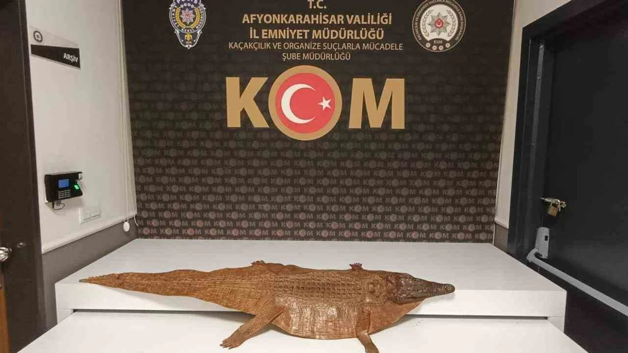 Polis durdurduğu araçta timsah derisi ele geçirdi