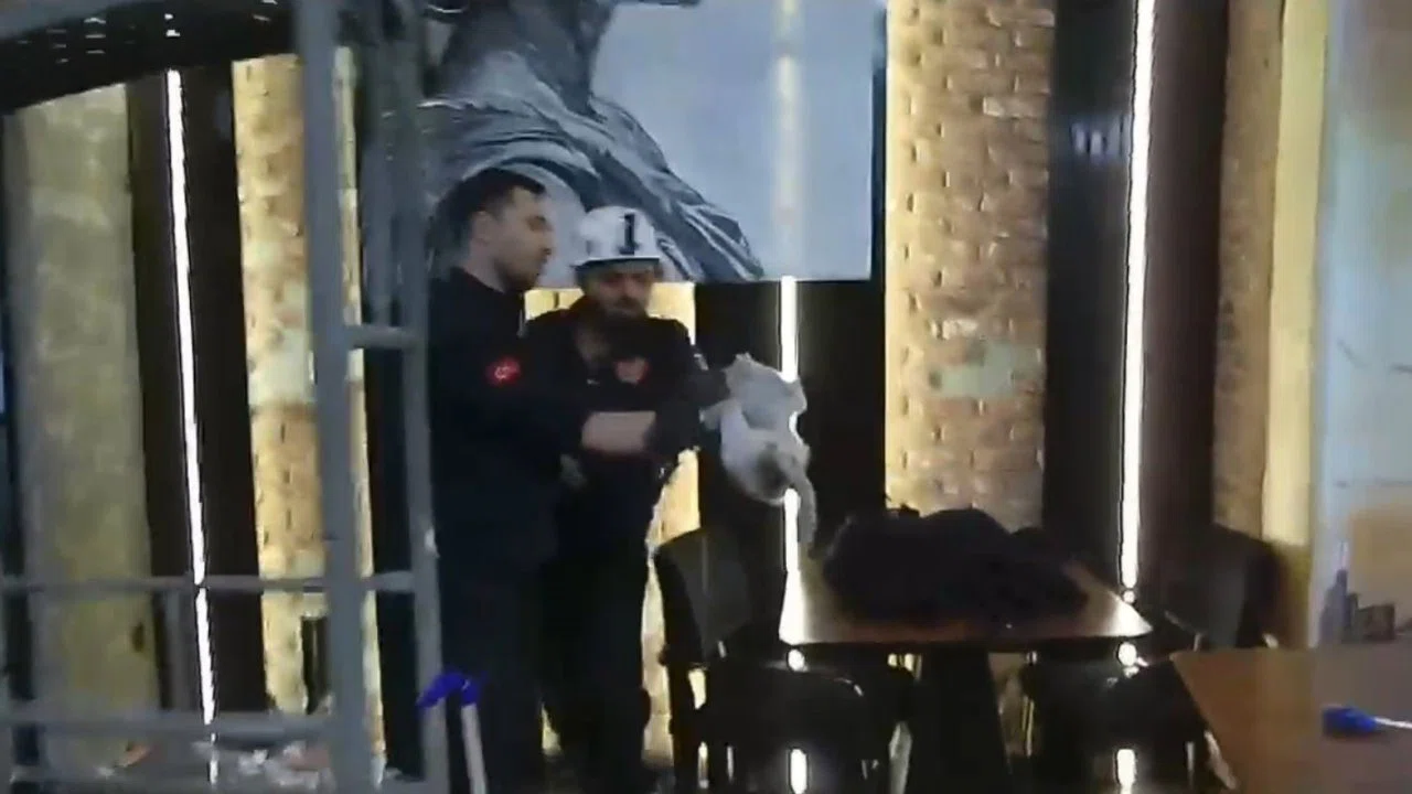 Şanlıurfa’da havalandırma boşluğunda mahsur kalan kedi kurtarıldı