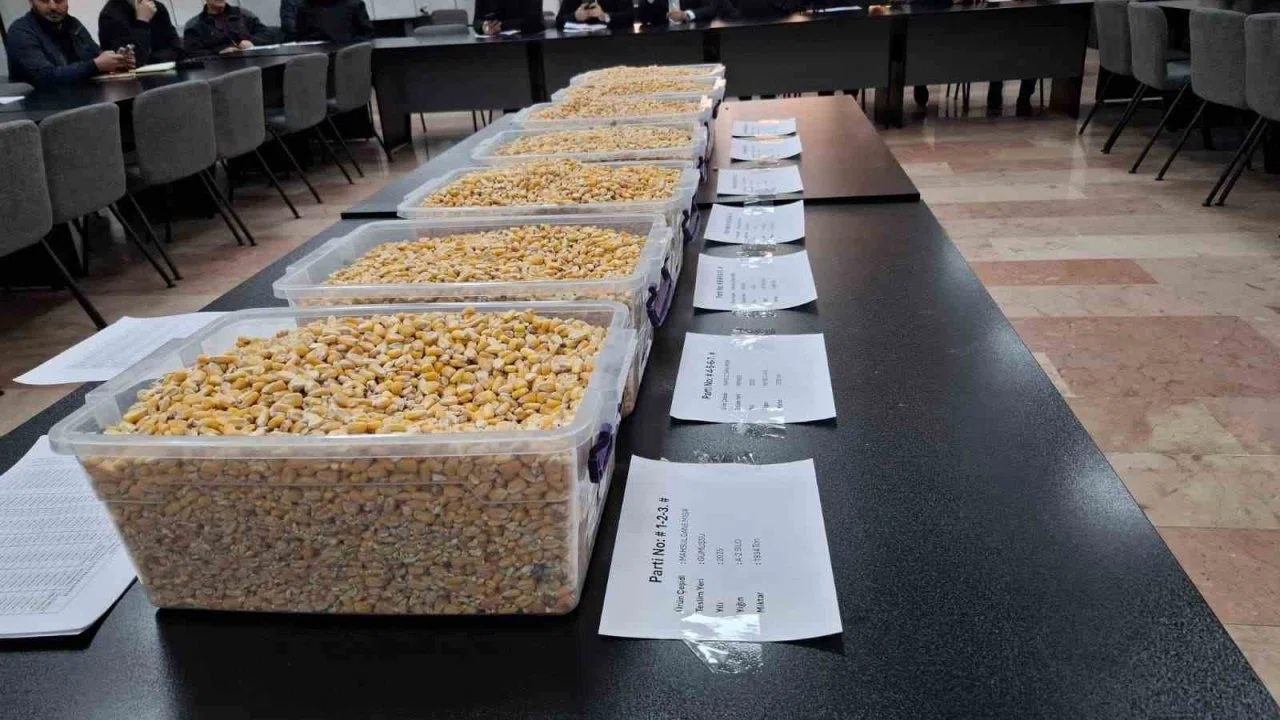 TİGEM’in 13,5 bin tonluk mısır satışı GTB’de gerçekleşti