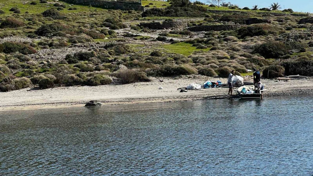 Tilkişen otu toplamaya gittiler, koyu temizlediler
